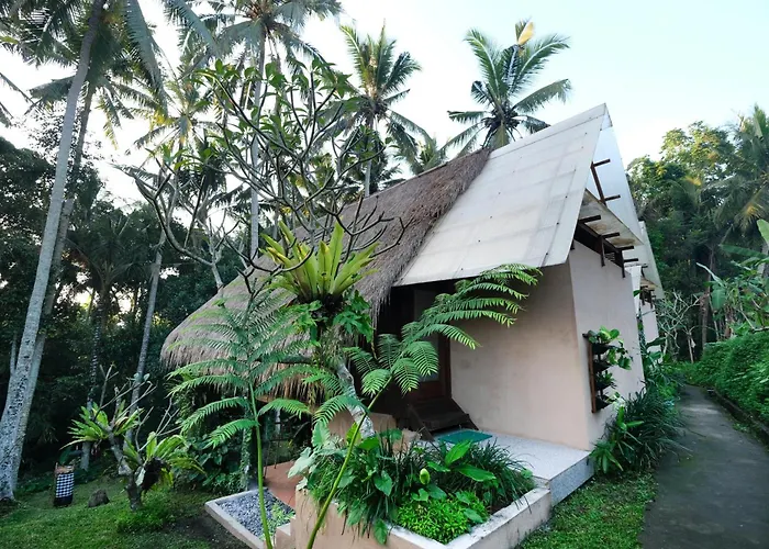 Jungle - Mahari By Wahm Villa *