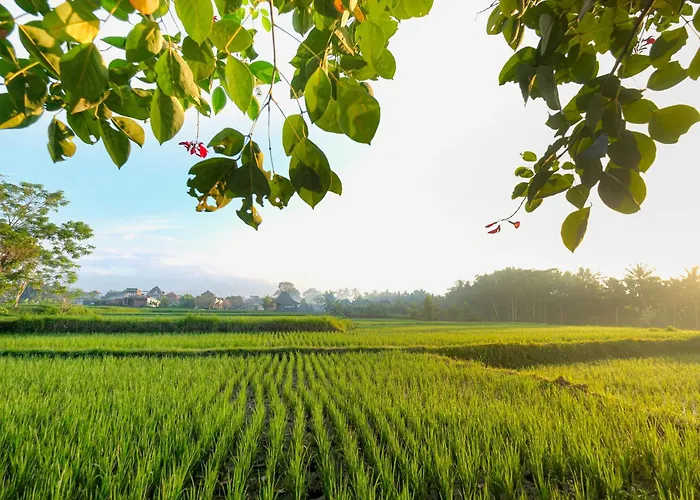 Jungle - Mahari By Wahm Ubud
