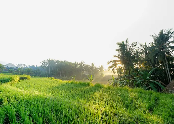 Jungle - Mahari By Wahm Ubud