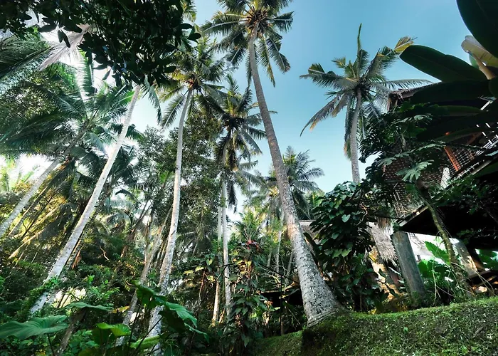 Jungle - Mahari By Wahm Villa Ubud
