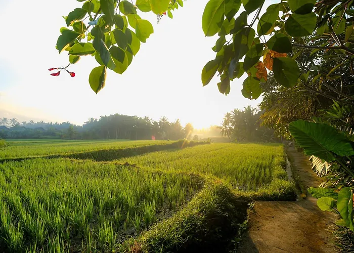 Jungle - Mahari By Wahm Villa Ubud