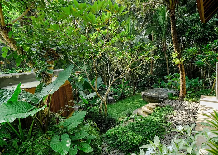 Jungle - Mahari By Wahm Ubud